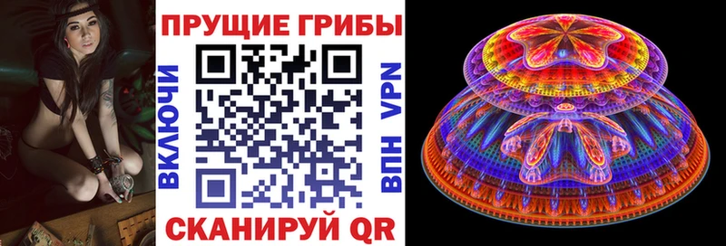 Псилоцибиновые грибы прущие грибы  Чехов 